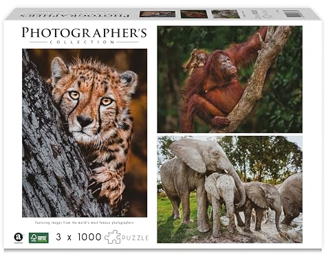 Ambassador 7230787 Wildtier-Familien, 3x1000 Teile Puzzle-Set für Erwachsene und Kinder ab 10 Jahren, Photographer's Collection, Donal Boyd, Leopard, Orang-Utan, Elefant