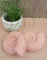 Generisch NEU !! 2er Set Ammoniten aus Terrakotta Terracotta Fossilien Taxon Kopffüßer Meerestiere Urzeit Garten Deko Mediterran