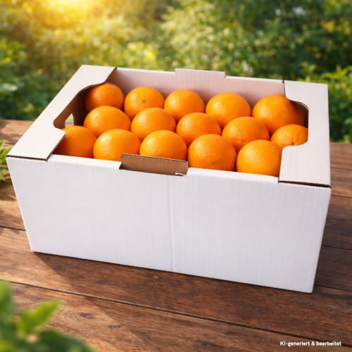 Orangen Saftorangen zum Pressen 8kg- Kiste/Karton