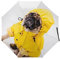 Uv Faltender Regenschirm Mops-Hund Automatik Schirm Umbrella Taschenschirm Sonnenschutz Regenschirm