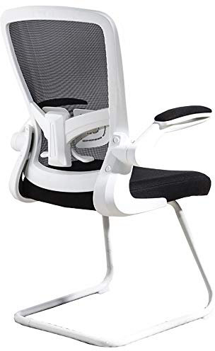 WADRBSW Sessel, Netz-Bürostuhl mit hochklappbaren Armlehnen, ergonomisches Design, verstellbare Lordosenstütze, Traggewicht: 150 kg to Pursue Happiness