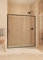 SOULBATH Mampara de Ducha Frontal corredera + Fijo, con Perfil Inferior, Fácil instalación Vidrio de Seguridad 6mm antical, 158,5 a 163 cm Ancho Adaptable x 195cm Alto, Reversible, Negro Mate