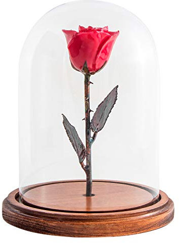 Forever rose usa brand – la bella e la Bestia rose – incantato rose – si tratta di una rosa vera. ... Sandali Adventure Seeker, punta chiusa - T - Bambini