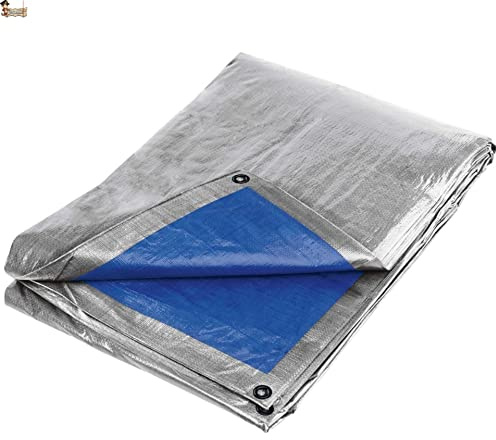 BricoLoco.com Toldo lona impermeable multiuso exterior. 6x10 mts. ¡¡ EXTRAFUERTE 260 grs./m2 !!¡¡REFORZADO!! Cubretodo cobertor leña, remolque, piscina, mueble jardín. (260 grs. Plata/Azul, 6x10 mts.)