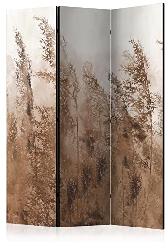 murando Raumteiler Foto Paravent Pampasgras 135x172 cm beidseitig auf Vlies-Leinwand Bedruckt Trennwand Spanische Wand Sichtschutz Raumtrenner Design Trockenblumen Natur Botanik beige b-A-0724-z-b