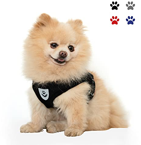 NEEZ Basic Geschirr für Katzen und kleine Hunde mit Leine | Super Bequeme Hundeweste | Ausbruchsicher und atmungsaktiv | Farbe: Rot Größe: XS