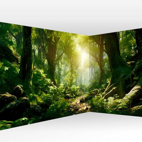 murando selbstklebende Eckfototapete Wald Landschaft 539x250cm Foto Tapete Tapetenfolie Möbelfolie Wandverkleidung Motivtapeten Bildtapete Wohnzimmer 3d Effekt Natur Landschaft c-B-10181-a-a