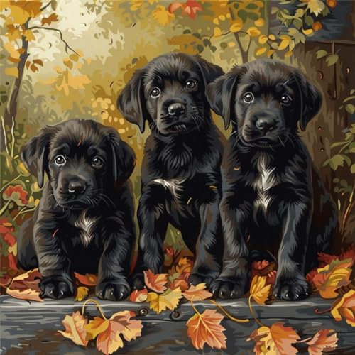 KANGBAWA Paint by Numbers for Adults Three Cute Dogs in Black Boots (5) 16x20 inch Acrylic Oil Painting Kits for Adults Kids Art Crafts Kit with 3 Brushes on Canvas for Adults Beginner Kids