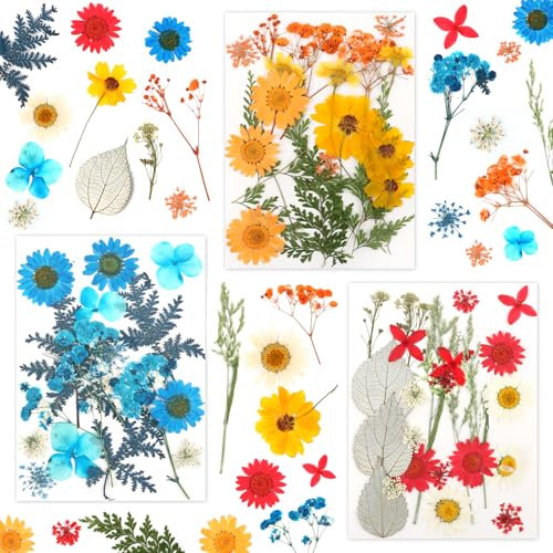 60 Stück Getrocknete Gepresste Blumen, MXTIMWAN Natürliche Getrocknete Blumen, Gemischte Getrocknete Blätter Gänseblümchen, Getrocknete Blüten für Seife DIY Harz Schmuck Nagel Handwerk Sammelalbum
