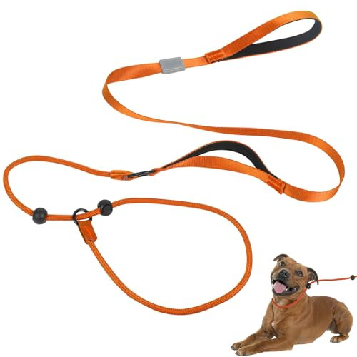 Slip Lead for Dogs, Dog Slip Collar Anti-Choking, Double Handle Dog Lead with Soft Foam Padded & Climbing-Grade Nylon Rope, Training Leash (Orange 1.7m)