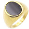 ANAZOZ Bandring Edelstahl Herren, Ring Mit Gravur Personalisiert Männer Flacher Siegelring Aus Gold Mit Emaille Größe 67 (21.3)
