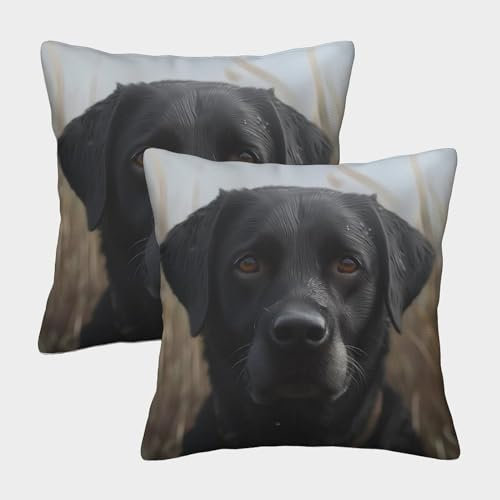 RWOODSRTR Labrador Retriever Kissenbezüge 2er Set Zierkissenbezüge Sofakissen für Sofa Schlafzimmer Couch Outdoor Kissen 45x45cm