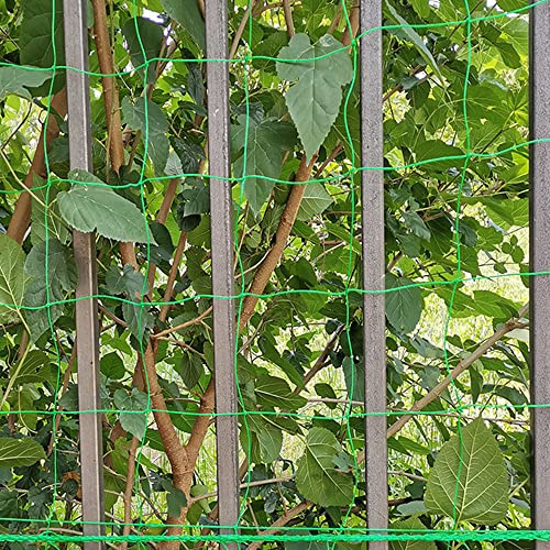 Pflanzennetz, Gartennetz, 1,8 x 3,6 m, PE-Spalier für süße Erbsen, Erbsennetz, Bohnenstützen, Obstgarten-Netz für Bohnen, Früchte, Kletterpflanzen
