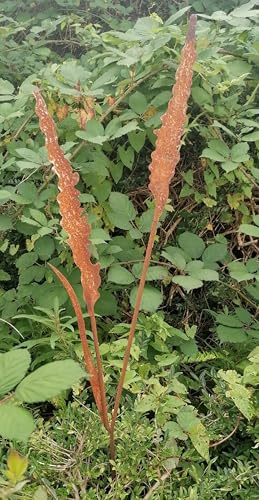 NEU !! Schöner Gartenstecker Gras mit Blatt ca. 91 cm lang aus Metall in Edelrost Rost Deko Garten Rankhilfe Sommer Stecker Dekoration Herbst Frühling