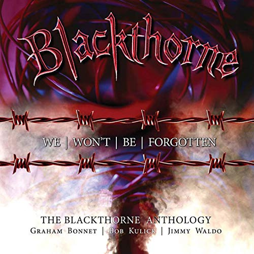 We Won't Be Forgotten ~ The Blackthorne Anthology Edition)