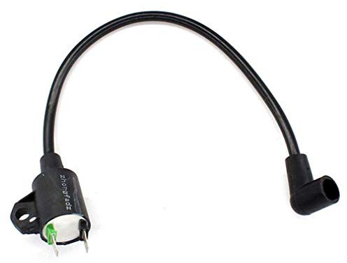 AISEN Zündspule für Güde GSE950 Stromerzeuger