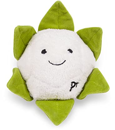 Petface Foodie Faces Cauliflower Plush Dog Toy with Built In Squeaker (Pack of 1)