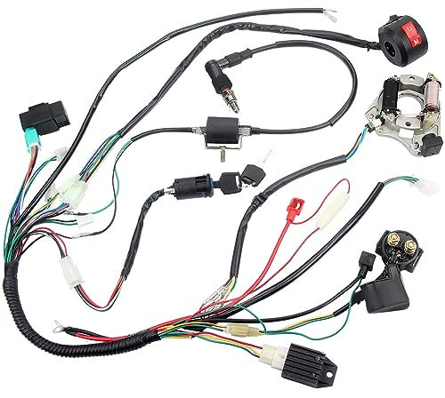 Riloer 1x Faisceau de câblage CDI Kit d'allumage pour 49 cc 50 cc 80 cc 90 cc 100 cc 110 cc 125 cc ATV/QUAD/Dirt Bike compatible avec Kawasaki KLX Coolster Go Kart