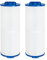 Future Way Whirlpool-Filter Ersatz für Cal Spa, Waterway Teleweir 50, 817-4050, ersetzt Pleatco PWW50L, Unicel 4CH-949, Filbur FC-0172, SD-01143, Spa-Filterkartusche, 50 m², 2 Stück
