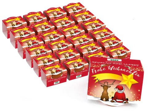 Bull & Bear 25er Set Mini Pflanzset 'Frohe Weihnachten' mit Samen für Stern des Orients im Topf 4,5cm, Chrysantheme Anzuchtset mit Pflegeanleitung