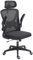 Panana Office Chair Mesh Back Ergonomic Desk Chair with Flip-up Armrest Executive Swivel Computer Chair (High Back All Black)