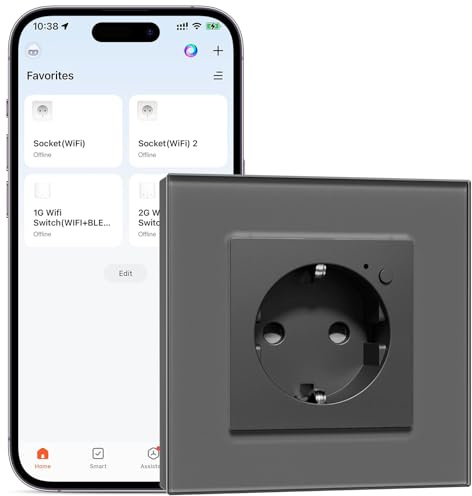 BSEEDLIFE Enchufe Inteligente WIFI de Cristal,1 Gang 86 * 86mm,Smart WIFI Enchufe Pared Empotrada,Remoto Control por Aplicación,Compatible con Alexa/Google,2,4 GHz,Gris