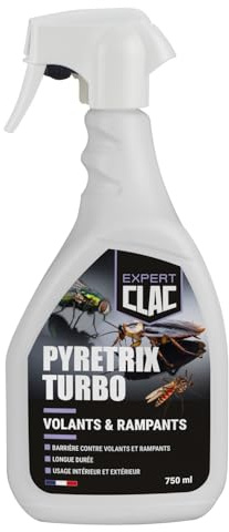 Clac® Insecticide Volants & Rampants 750ml- Spray Puissant Intérieur & Extérieur - Cafards, Fourmis, Mouches, Moustiques - Application Ciblée Fissures, Plinthes, Zones Difficiles