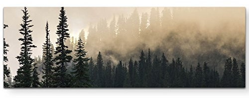 Eau Zone Wandbild auf Leinwand 150x50cm Wald im Nebel