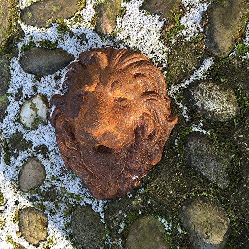 Antikas - Évacuation d'eau méditerranéenne pour fontaine - Bec de fontaine, gargouille - Tête de lion
