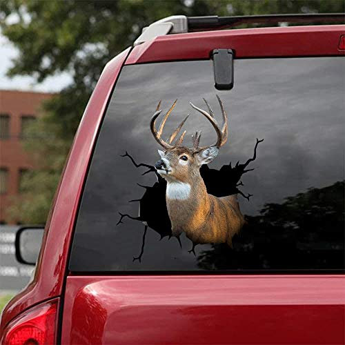 Ocean Gift Reh Auto Aufkleber, Wildtiere Auto Aufkleber 2 Stück – Realistische Hirsch Aufkleber für Autofenster, Wände, Serie 3, Größe 30,5 x 30,5 cm