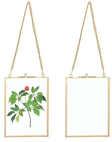 SUMTree 2Pcs Glas Bilderrahmen Hängende mit Ketten Fotorahmen Pflanze Probe Glasrahmen für gepresste Blumen Foto Bilder Nur Glasrahmen(Golden,13x18cm,Rechteck)