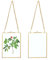 SUMTree 2Pcs Glas Bilderrahmen Hängende mit Ketten Fotorahmen Pflanze Probe Glasrahmen für gepresste Blumen Foto Bilder Nur Glasrahmen（Golden,13x18cm,Rechteck）