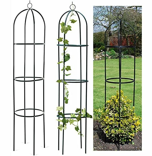 HTUK Garden Obelisk Steel Outdoor Rose Plant Arch Climbing Support Trellis Frame Plant Stand For Climbing Plants, Flowers, Shrubs, Vegetables Elegant Decorative Outdoor Metal Supports - 1.9M