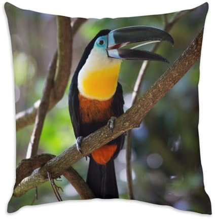 Fabulous Kissen aus weißem Samt – Tukan im Wald Wildleben Vogel Dschungel Wildtiere – 40 x 40 cm – samtige Haptik – Bezug und Kissen enthalten