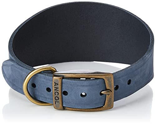 Ancol Timberwolf Windhundhalsband Blau 34-43 cm