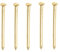 Gold Nails 100 Pieces Brass Wall Pins 25mm Brass Plated Nails for Hanging Picture Frames Photos Art and Woodworking