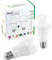 HortiPower Bloomer 2 LED Pflanzenwachstumslampen Vollspektrum 400-780nm, 9W, E27, 2 Stück - Optimale Wachstumslampe für Pflanzen