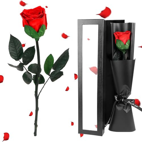 MplehDa Vera Rosa Eterna Regalo Donna Rosa Eterna Stabilizzata con Supporto Rosa Artificiale Fiore Romantico Perfetto Regalo Rosa Stabilizzata Vera con Steli Idee Regalo per Anniversario