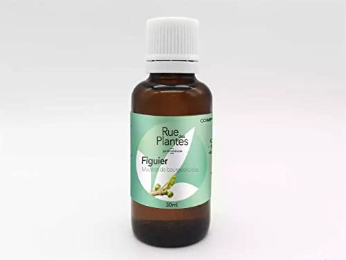Gemmotherapie macérât de bourgeons de figuier - Renforcez votre bien-être naturellement avec ce macérat de bourgeons BIO