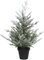 Mini Abeto de Navidad Árbol Natural con Nieve - Maceta 9cm