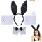 5-teiliges Damen Bunny Zubehör Set,Bunny Kostüm,Bunny Ohren Haarreif,Kaninchen Cosplay Set,Sets Hasenohren Und Schwanz Set,Ostern Hasenohren Haarreifen,Hasenohren Ohren Stirnband Fliege Schwanz