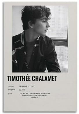 TeDe Timothée Chalamet Hervorragende Schauspielerkunst, Wohnzimmer, Schlafzimmer, Poster, Gemälde, dekoratives Gemälde, Druck, Leinwand, Wand, 20 x 30 cm, ungerahmt