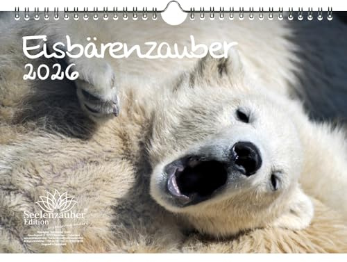 Eisbärenzauber DIN A4 Kalender für 2026 Eisbär - Geschenkset Inhalt: 1x Kalender, 1x Weihnachtsanhänger (insgesamt 2 Teile)