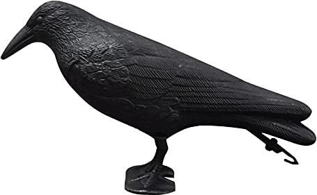 Taubenschreck 38 × 12.5 × 23cm Kunststoff Vogelschreck Raben Attrappe Gartenfigur Rabe Realistisches Design Stehen Kann Fixiert Werden Schutz vor Lästigen Vögeln Natürliche Schädlingsbekämpfung