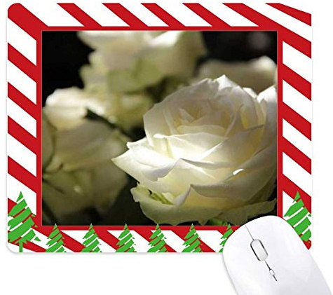 rose blanche sombre grande taille tapis de souris canne de noël du tapis.