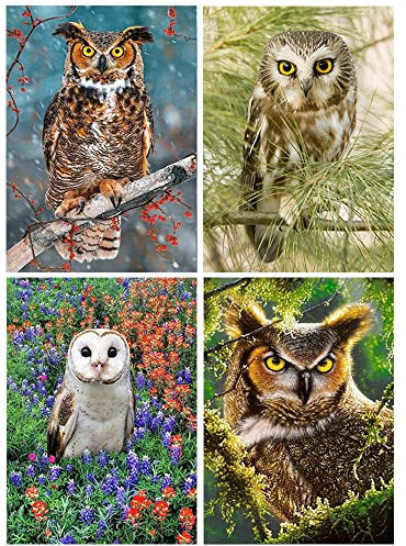 5D DIY Diamant Painting Kits Quadratisch Hunde 40x30cm Stickerei Strass Kruzstich Bilder Square Diamond Painting Bilder Gemälde Voll Set Malen nach Zahlen Leinwand Malerei Bastelset Erwachsene Kinder
