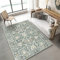 DJHWWD Teppich Jugendzimmer Jungen Wohnzimmer Deko Retro Wohnzimmer Ethno-Stil Sofa Couchtisch Sicher Und Umweltfreundlich Leicht Zu Reinigen Hellgrün Teppich Günstig 60X90cm
