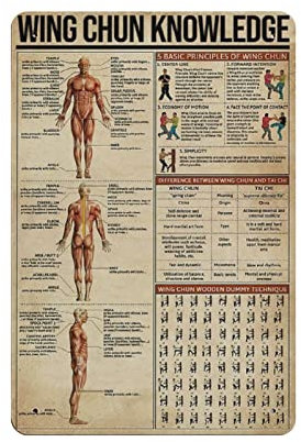 KOPUTE Wing Chun Knowledge Wandkunst-Blechschild, Wissen, Vintage-Wandkunst, Heimdekoration, Raumkunst, Retro-Stil, Bauernhaus-Dekoration, Bar, Garage, Blechschild, 20 x 30 cm