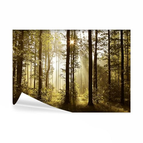 decomonkey Fototapete Wald 200x140 cm Tapete Fototapeten Vlies Tapeten Vliestapete Wandtapete moderne Wand Wandbild Schlafzimmer Wohnzimmer Landschaft Baum Natur