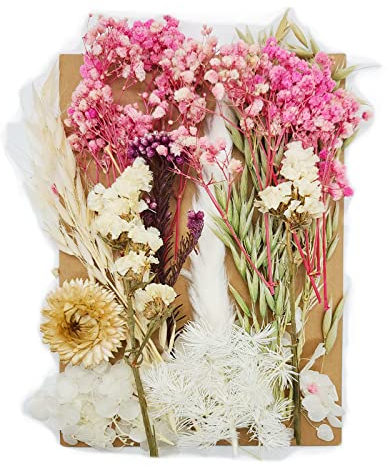 songyea Natürliche Getrocknete Blumen, Trockenblumen Set, für DIY Gepresste Blumen, Scrapbooking, DIY-Kerze, Schmuckanhänger Basteln (A)